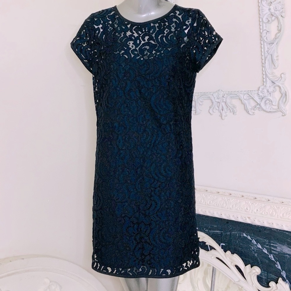 Loft Navy Blue Lace Shift Dress NWOT